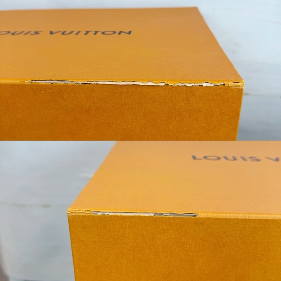 Louis Vuitton | Montsouris Backpack - Picture 16 of 16